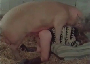 Wild pig is banging a lady so hard