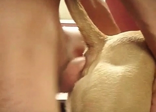 ionate closeness with a puppy