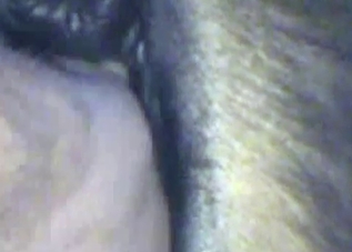 Crazy sex session with a dog