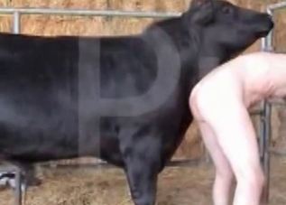 Dirty massive beast is getting banged on the farm
