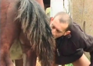 Pleasant blowjob for a stallion