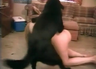 Black mutt is banging a chick