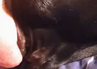 Man with shaved cock drills his black dog