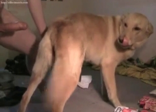 Pupper gets totally dominated by a really kinky zoophile
