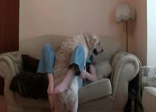 Awesome puppy gets fucked on the sofa