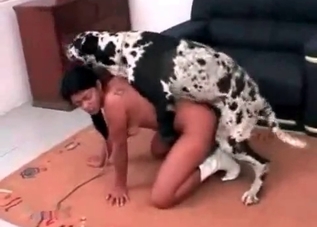 Trained puppy is demonstrating its fuck skills