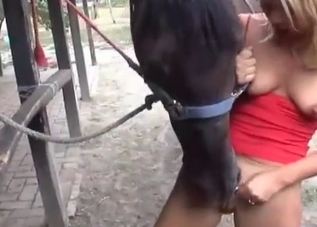  a blonde playing wild games with a stallion