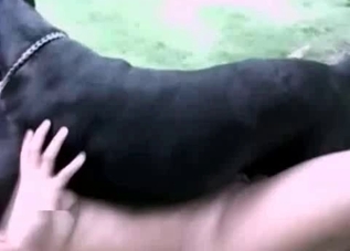 Hot puppy is punishing a pervert