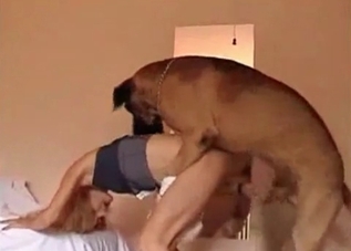 Lovely animal is demonstrating its great fuck skills