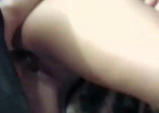 Gorgeous chick wants to fuck with a black dog