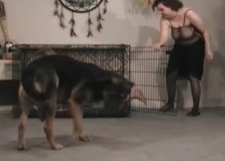 Lovely mature lady is playing with a hound