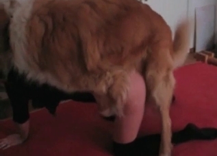 Dirty whore is playing with a blonde lady