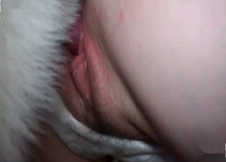 This hound is so great at ass fucking