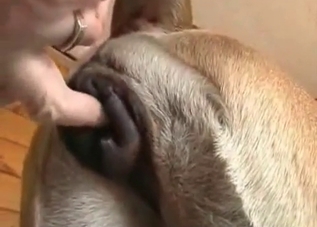 Wild fuck with a sensual hound