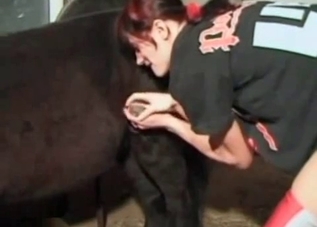 Wild animal is being presented with a BJ