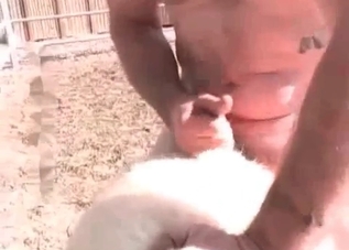 Be ready to share a wild zoo fuck session