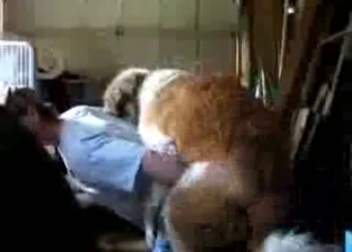 Very huge dog fucks like a freaking actor
