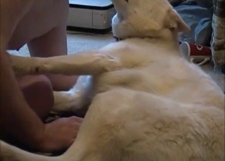 Stimulating and preparing my lovely doggy